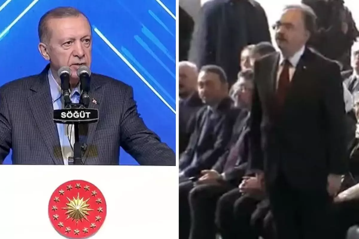 Cumhurbaşkanı Erdoğan'ın kameralar önünde azarladığı vali, kayyum olarak atandı