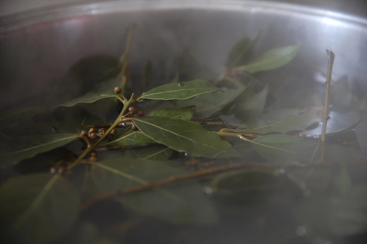 Depremzedeler Konteyner Kentinde Organik Sabun Üretiyor