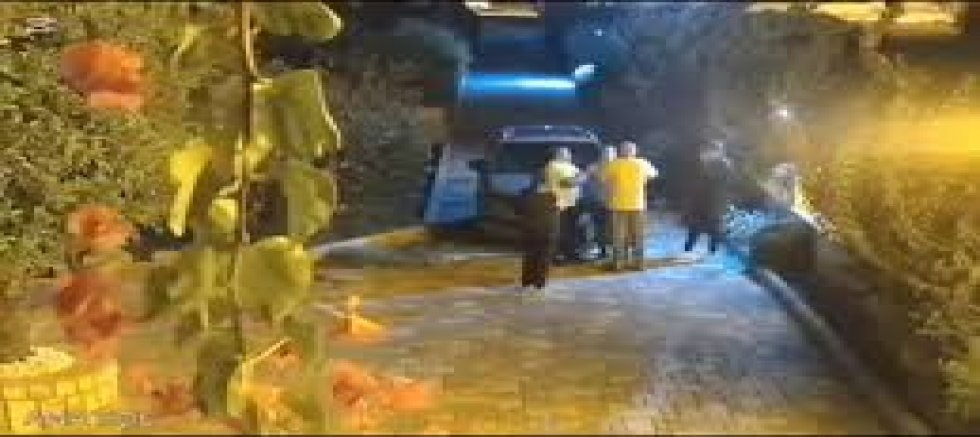 Arsuz'da yaşanan akılalmaz olayda son durum ne?