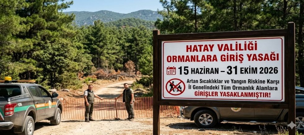 Hatay’da Ormanlara Girişler 31 Ekim’e Kadar Yasaklandı