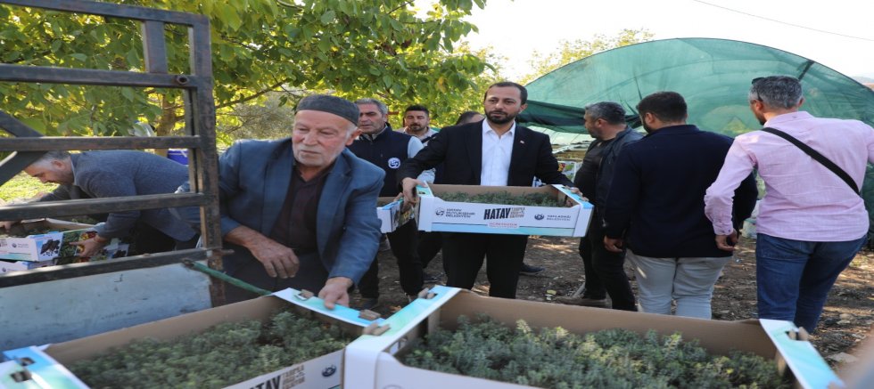 HBB’DEN YEREL ÜRETİCİYE FİDE DESTEĞİ