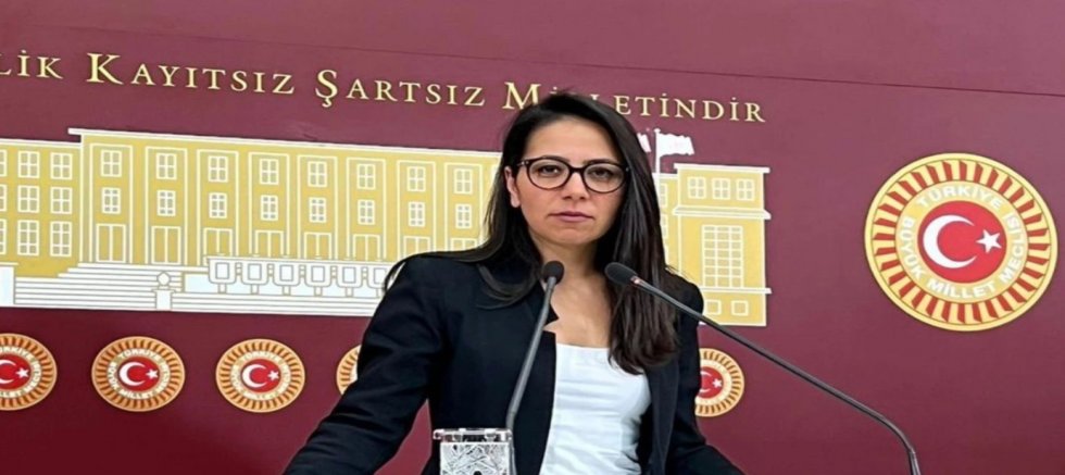 Sera Kadıgil, İskenderun Devlet Hastanesi’ndeki ihmalleri Meclis gündemine taşıdı!