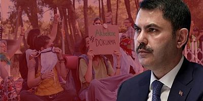 Akbelen'den Dipsiz Göl'e, Ayder Yaylası'ndan Uzungöl'e... İşte Kurum'un bakanlığı dönemindeki çevre katliamları