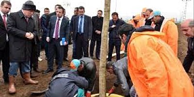 AKP’li başkan çalı çırpıya 2 bin 379 asgari ücret harcadı