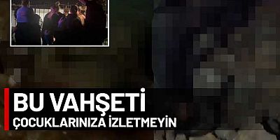 AKP’li belediyeden Ankara’nın göbeğinde köpek katliamı! 6 gözaltı