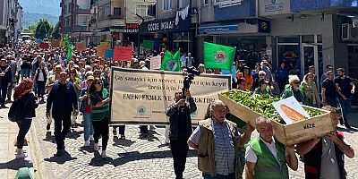 AKP'nin kalesi Rize'de çay alım fiyatına 'tabutlu' protesto
