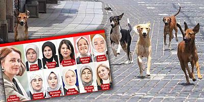 AKP öldürmeye ‘ötanazi’ dedi, 11 kadın altına imza attı