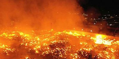 Büyük yangında 4’üncü gün! 23 ilden takviye geldi