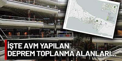 Dikkat çeken rapor! Deprem sonrası barınma alanları AVM dolu
