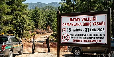 Hatay’da Ormanlara Girişler 31 Ekim’e Kadar Yasaklandı