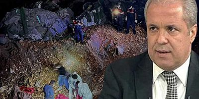 Hayvan katliamı Şamil Tayyar’ı da isyan ettirdi! Sosyal medyadan yalvardı