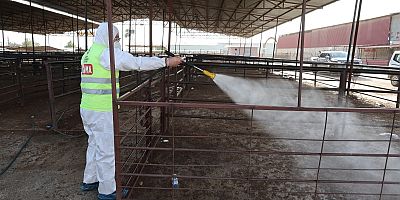 HBB’den Şap Hastalığına Karşı Karasinek Mücadelesi