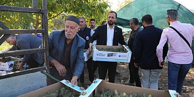 HBB’DEN YEREL ÜRETİCİYE FİDE DESTEĞİ