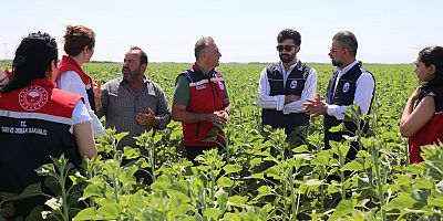 HBB, ÜRETİCİYE AYÇİÇEĞİ TOHUMU DESTEĞİ SAĞLADI