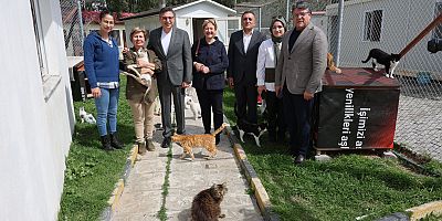 İskenderun’da bulunan HBB Kedi Bakım ve Rehabilitasyon Merkezini ziyaret ettik. 