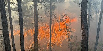 İzmir’de orman yangınıyla mücadele 18’inci saatte