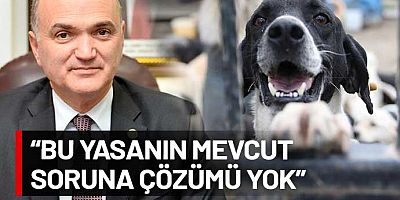 Katliam yasasına AKP’de çatlak ses: Kimseye zararı olmayan bir hayvanı niye alıp barınakta saklayalım