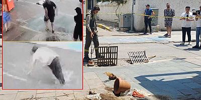 Kaza değil cinayet! Elektrik şirketi göz göre göre iki genci ölüme yolladı