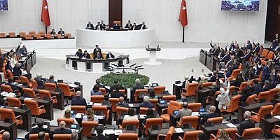 ‘Ötanazi’ye atıfta bulunan madde de geçti! İşte Sokak hayvanları yasasının Meclis’ten geçen maddeleri
