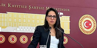 Sera Kadıgil, İskenderun Devlet Hastanesi’ndeki ihmalleri Meclis gündemine taşıdı!