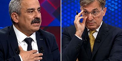 Sokak hayvanları tartışması büyüdü, iki gazeteci birbirine girdi