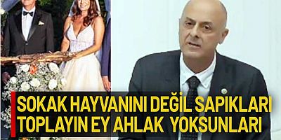 Sokakta yaşayan köpeklerin öldürülmesinin önünü açan kanun teklifinin görüşmeleri Meclis Genel Kurulu’nda henüz bir gün önce evlenen Ümit Özlale’nin Meclis’e gelip AKP’lileri yerden yere vurarak yaptığı konuşma gündem oldu.