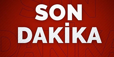 Son dakika haberi... AKP'nin sokak hayvanları düzenlemesi Meclis'te