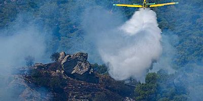 Türkiye’de son 3 günde 247 yangın çıktı 241’i kontrol altına alındı