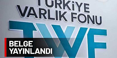 Varlık Fonu’na bağlı şirket seçimden bir hafta önce İsrail’e bor madeni göndermiş!