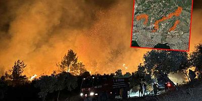 Yangın dehşetini gösteren uydu fotoğraflarında dikkat çeken ayrıntı! Hep ormana dayanmış yerleşim yerleri