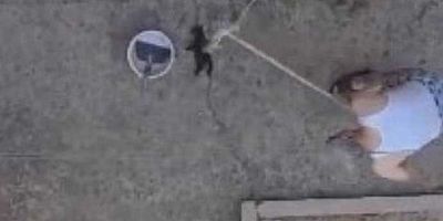 Yavru kedileri fırça sapıyla döve döve öldürdü