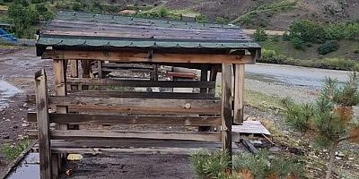 YRP’li Belediye ‘örf ve adetlere uygun değil’ diyerek kamelyaları kaldırdı!